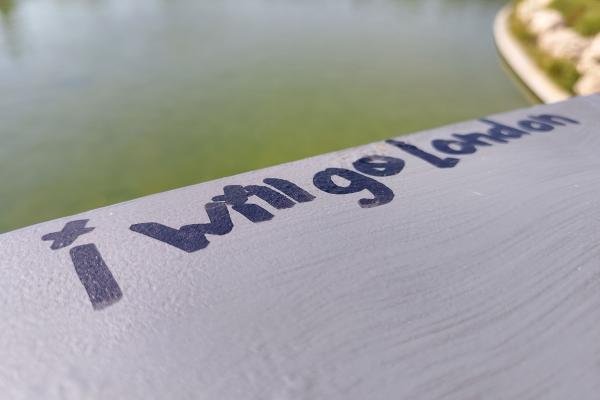 Nubia Focus Pro - Mostre closeup