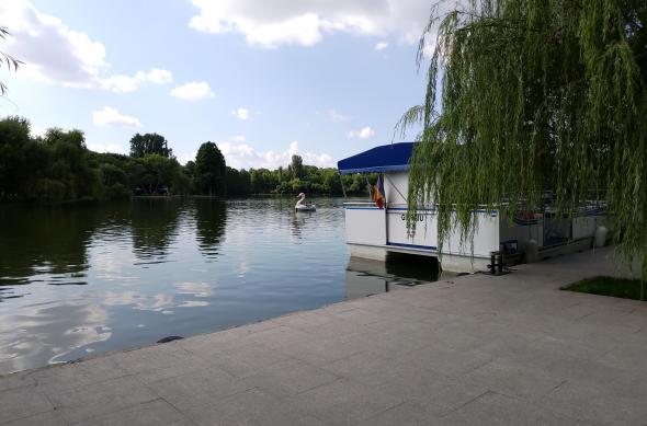 ASUS ZenFone 5z (ZS620KL) - Mostre Foto (ziua): P_20180711_165220.jpg