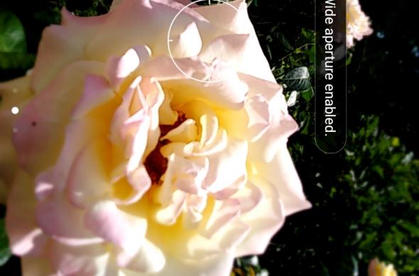 Huawei Y7 Prime (2018) - Screenshots: Screenshot_20180717-142104.jpg