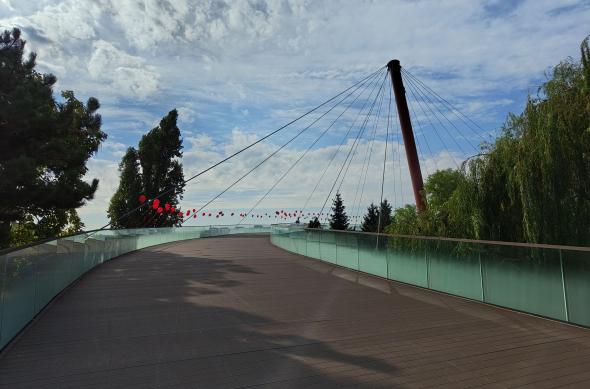 Nothing Phone (2) - Mostre wide: Nothing-Phone-2-Mostre-wide_002.jpg