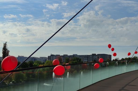 Nothing Phone (2) - Mostre zoom: Nothing-Phone-2-Mostre-Zoom_011.jpg