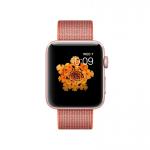 Apple Watch Series 2 42mm