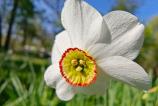 Mostre-macro_ (11).jpg