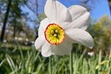 Mostre-macro_ (12).jpg
