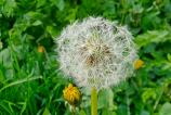 Mostre-macro_ (14).jpg