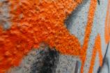 Mostre-macro_ (16).jpg