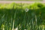 Mostre-bokeh_ (13).jpg