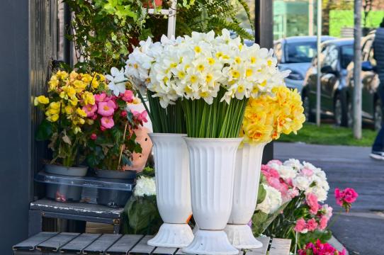 OPPO Find X9 Ultra - Mostre Foto (zoom): Mostre-zoom_ (16).jpg