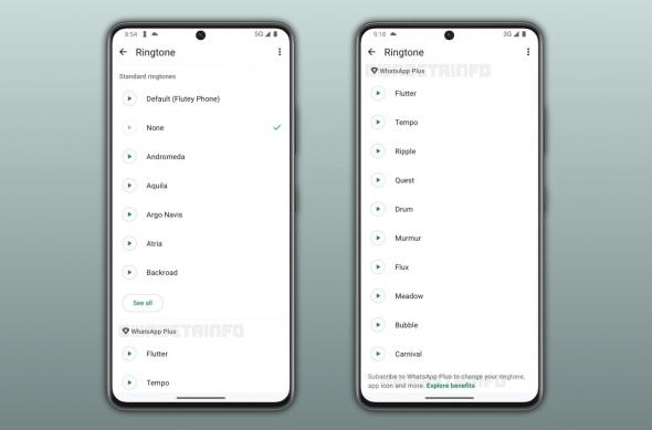 Funcții WhatsApp Plus: download - 2026-04-21T110319.305.jpg