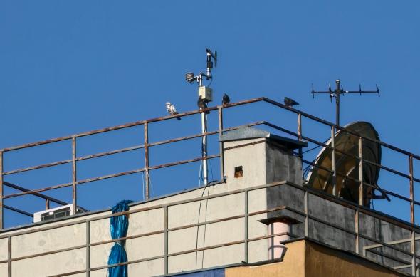 OPPO Find X9 Ultra - Mostre foto (zoom): Mostre-zoom_ (10).jpg