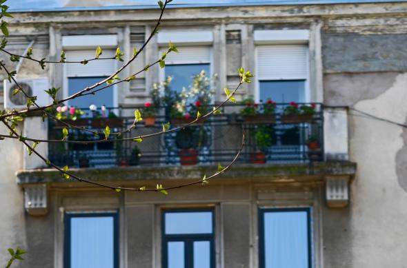 OPPO Find X9 Ultra - Mostre foto (zoom): Mostre-zoom_ (56).jpg