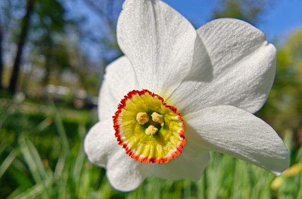 OPPO Find X9 Ultra - Mostre foto (macro): Mostre-macro_ (11).jpg