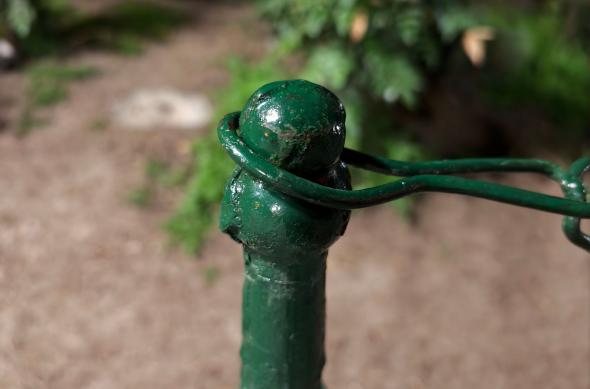 OPPO Find X9 Ultra - Mostre Foto (seara): Mostre-noapte_ (16).jpg