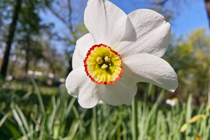 OPPO Find X9 Ultra - Mostre foto (macro): Mostre-macro_ (12).jpg