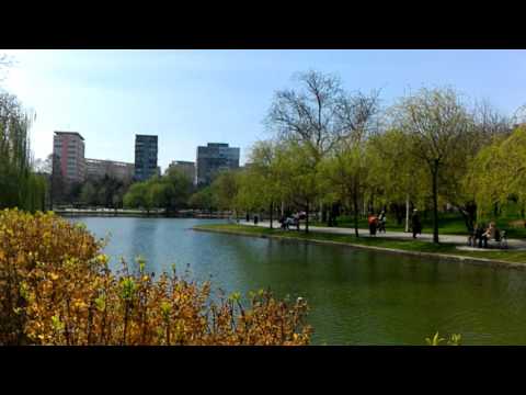 ASUS ZenFone 2 Deluxe Special Edition, mostră video Full HD, 30 FPS (test focus) - Mobilissimo.ro