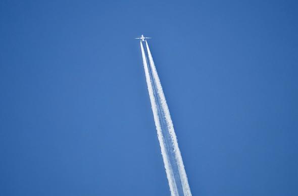 Xiaomi 17 Ultra - Mostre zoom: Mostre-zoom_ (25).jpg