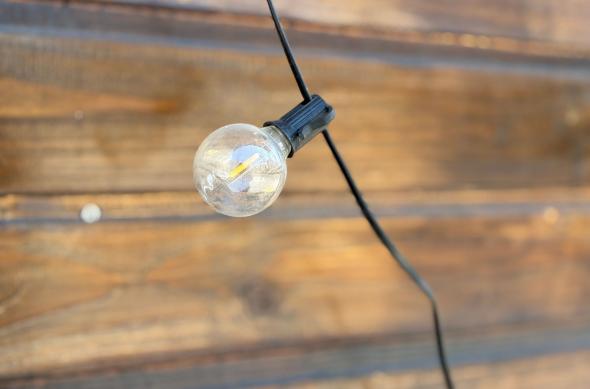 Apple iPhone 17e - Mostre closeup, bokeh: Mostre-closeup-bokeh_ (8).jpg