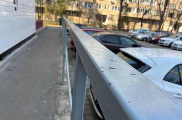 Apple iPhone 17e - Mostre closeup, bokeh: Mostre-closeup-bokeh_ (3).jpg