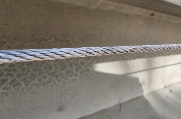 Motorola edge 70 Fusion - Mostre macro: Macro_ (9).jpg