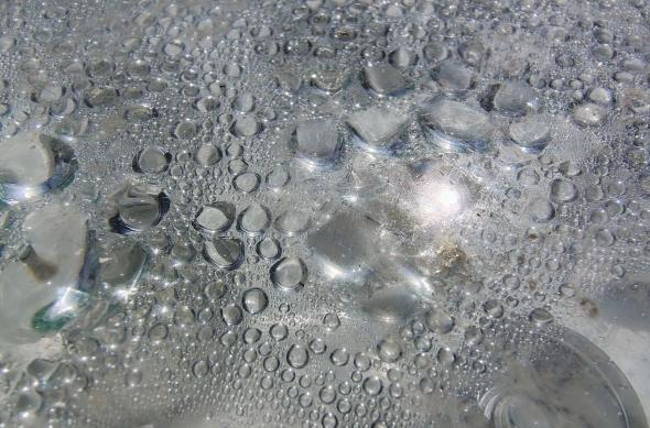 Motorola edge 70 Fusion - Mostre macro: Macro_ (11).jpg