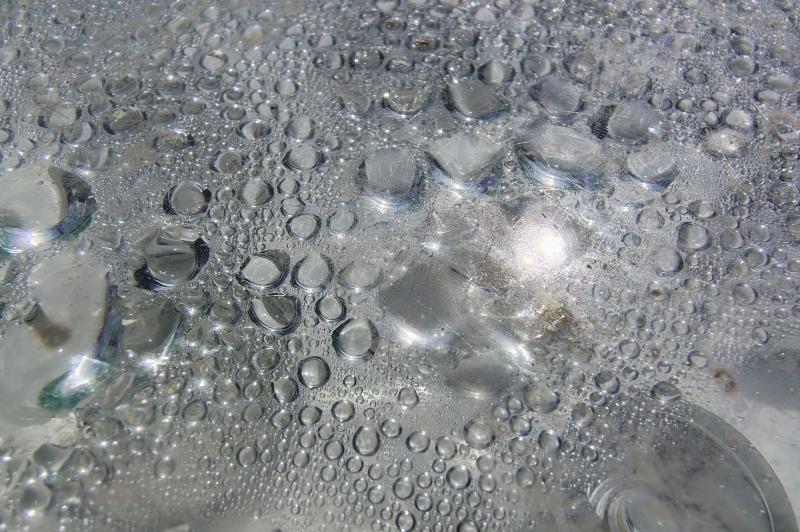 Motorola edge 70 Fusion - Mostre macro: Macro_ (11).jpg