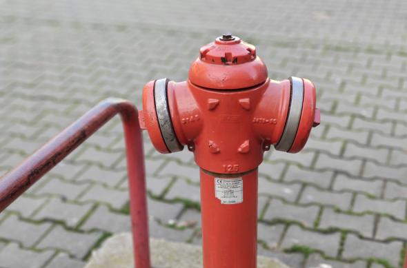 OnePlus 15R - Mostre Foto (ziua): IMG20251212150856.jpg