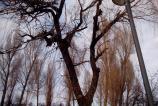 IMG_20120307_161139.jpg