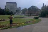 2010-07-12_16-04-26_718_Timisoara.jpg