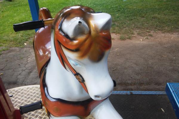 LG AKA - Mostre Foto (ziua)