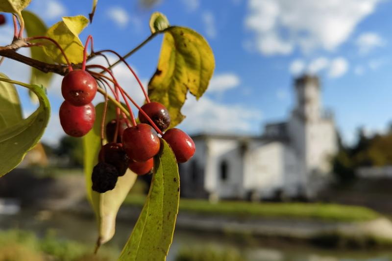 Huawei Mate 40 Pro - Mostre Foto (bokeh): IMG_20201020_160349.jpg