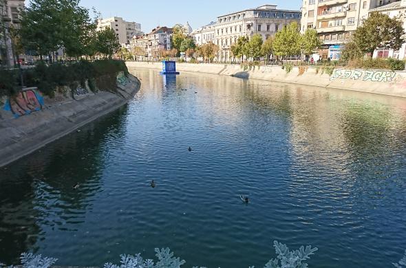 Sony Xperia XZ - Mostre Foto (ziua): DSC_0186.JPG