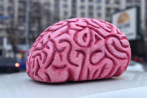 Huawei Mate X7 - Mostre Foto (bokeh)