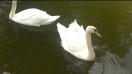 Nokia N1 video sample I. - Mobilissimo.ro