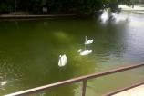 IMG_20150811_084814.jpg