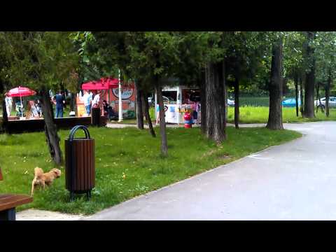 HTC Sensation video sample IV. - Mobilissimo TV