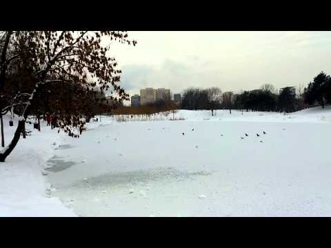 LG G Flex Video Sample VII. - Mobilissimo.ro