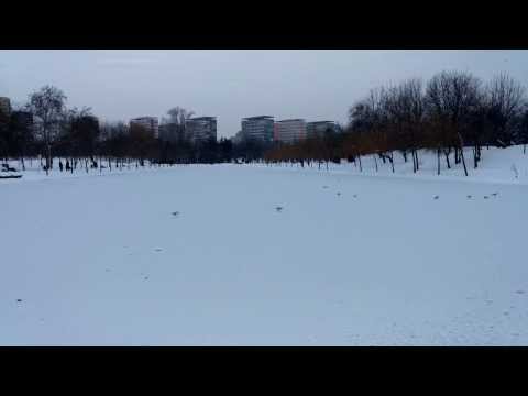 LG G Flex Video Sample V. - Mobilissimo.ro