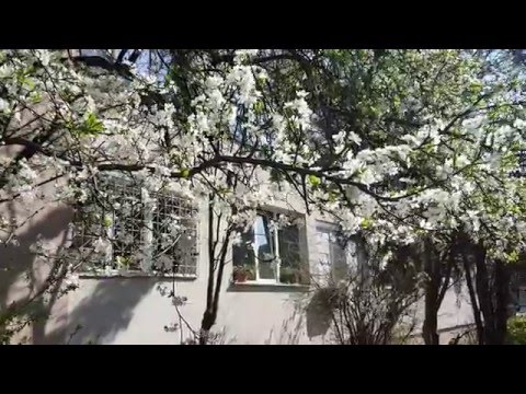 Samsung Galaxy S7 Edge, mostră video Full HD, 30 FPS (zii însorită) II. - Mobilissimo.ro