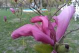 IMG_20170401_004011.jpg