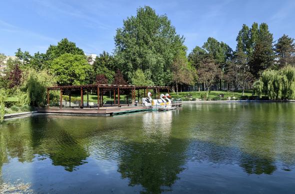 Huawei Mate X3 - Mostre Foto (ziua): IMG_20230506_092120.jpg