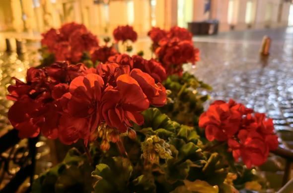 Huawei Mate X3 - Mostre Foto (seara): IMG_20230517_235807.jpg