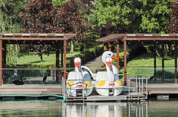 Huawei Mate X3 - Mostre Foto (zoom): IMG_20230506_091821.jpg