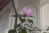 IMG_20120930_150950.jpg