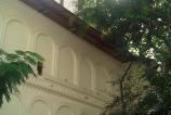 IMG_20120930_151022.jpg