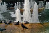 IMG_20120930_163656.jpg
