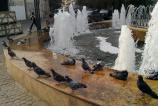 IMG_20120930_163659.jpg