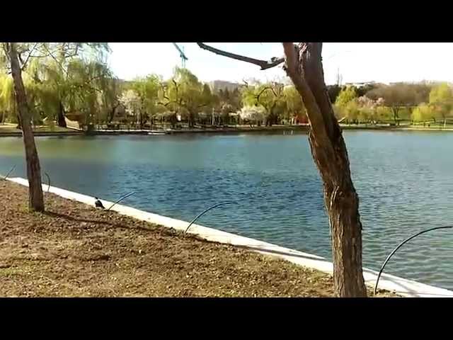 HTC One M9 video sample (Full HD, 1920x1080px, 60fps) - Mobilissimo.ro