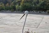 Samsung-Galaxy-S24-FE-Mostre-Bokeh_013.jpg