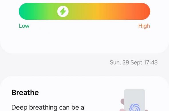 Samsung Galaxy Watch Ultra - Samsung Health: Health (17).jpg