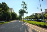 HUAWEI-Pura-80-Pro-Mostre-zi_011.jpg